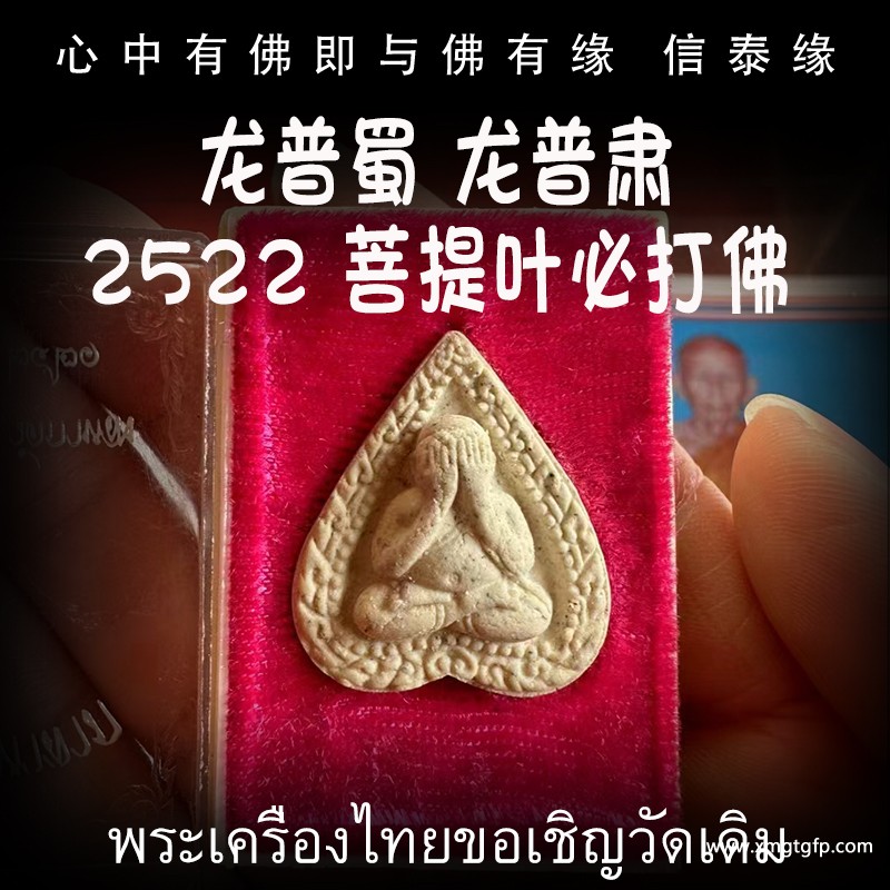 2522年  龙普蜀(龙普肃) 菩提叶必打 (2).jpg