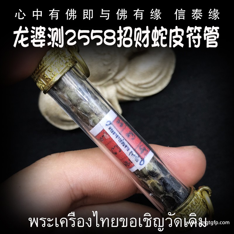 龙婆测 招财蛇皮符管 塔固 佛牌 .jpg